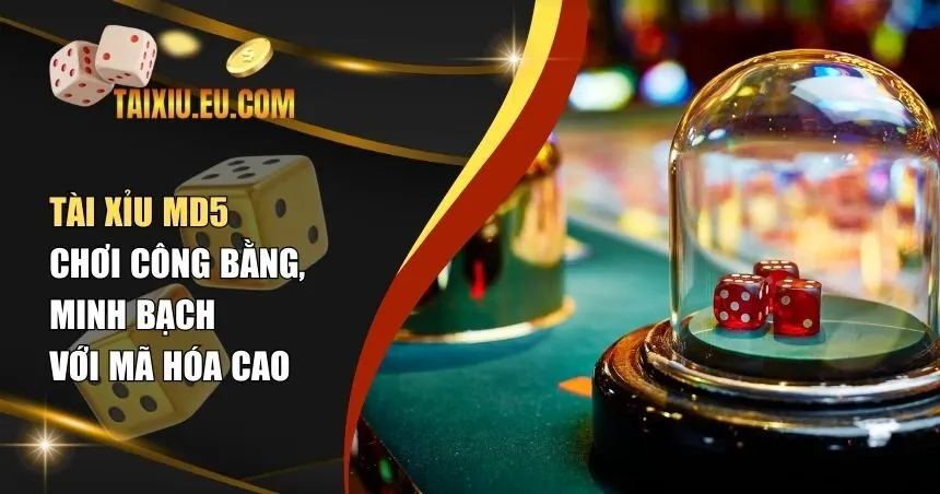 Tài xỉu MD5